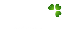 Shannon Survey Limited - Company Logo